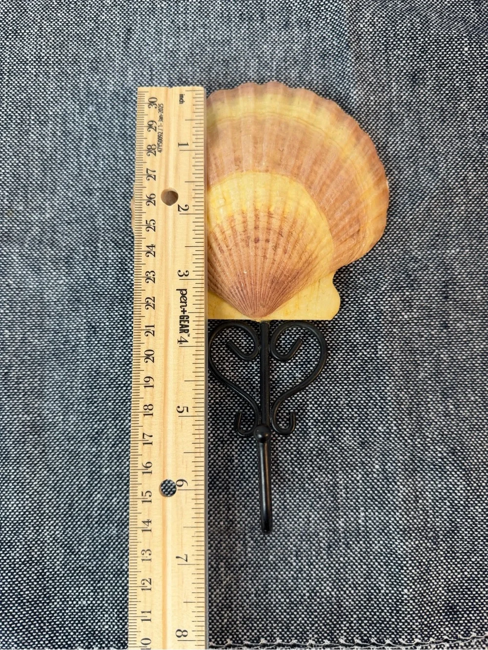 Coastal Scallop Shell Wall Hook Nautical Beach Cottage Decor